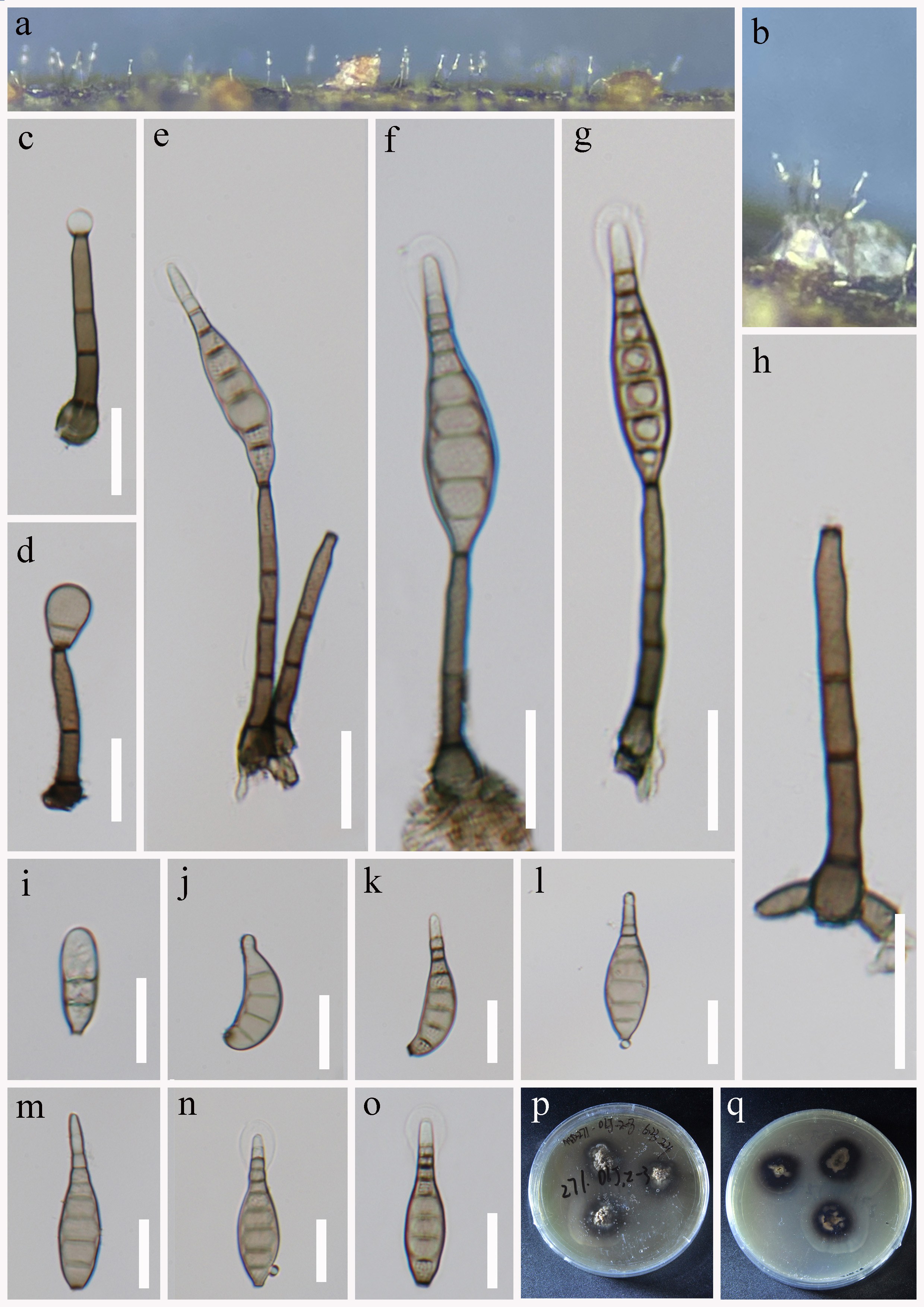 Figure 106